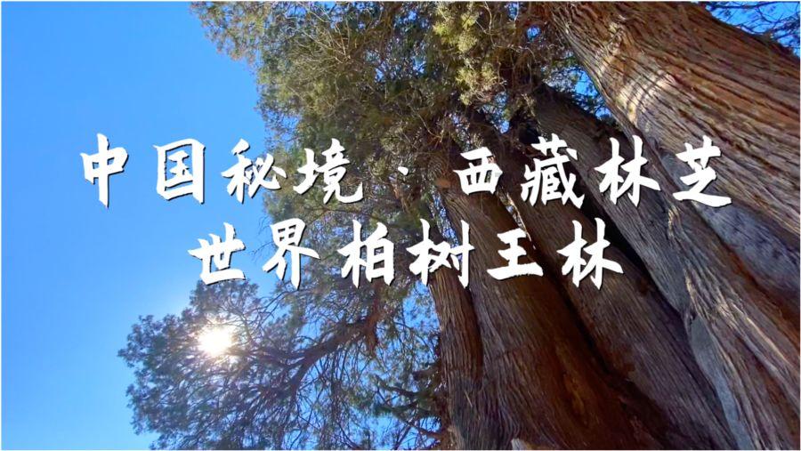 民革江苏省委会递交集体提案：建议打造大运河“出海门户”的文化标识