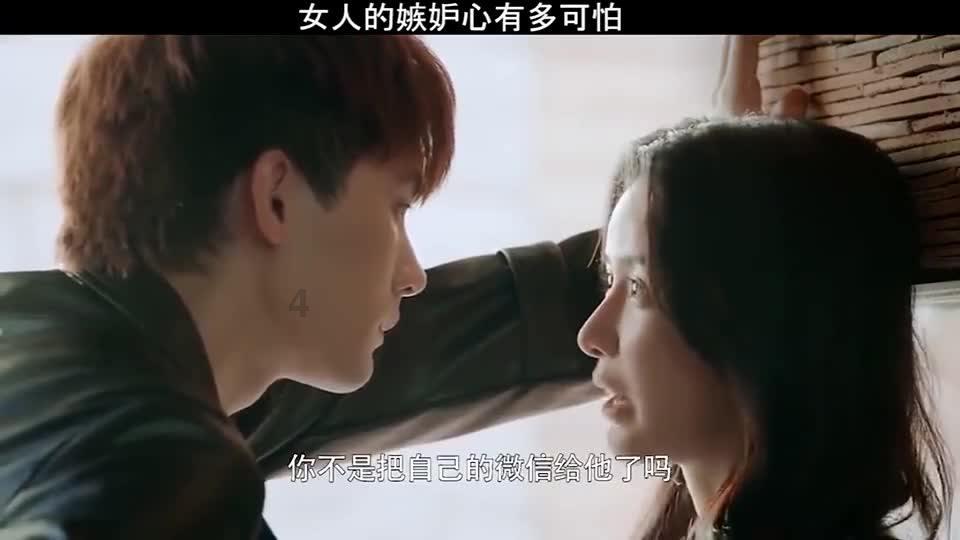 动物帮帮忙保卫家园